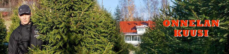 Onnelan Kuusi