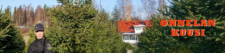 Onnelan Kuusi